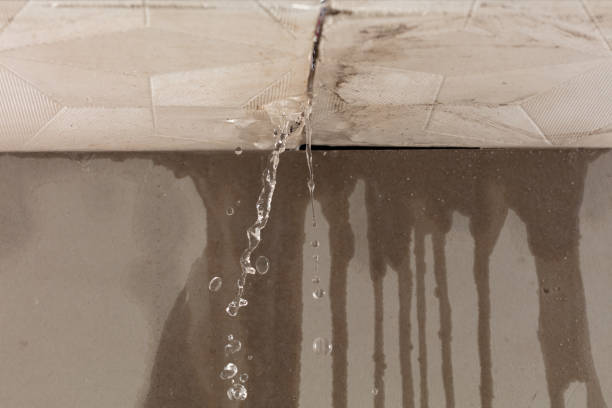 Professional Water Extraction technician working in Los Olivos, CA